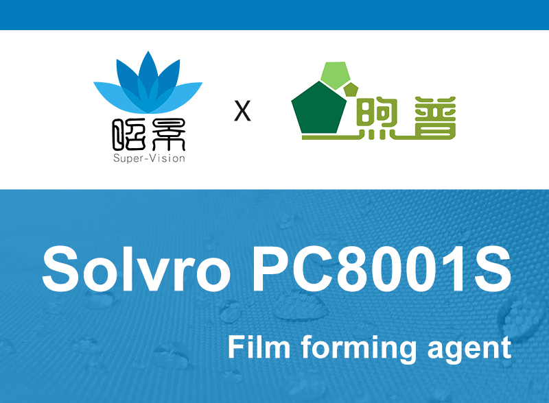 du PC8001S 